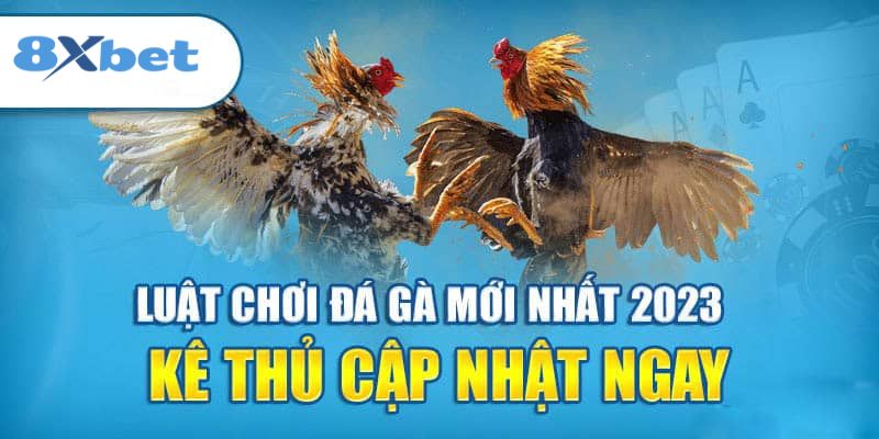 LuẬt ChƠi ĐÁ GÀ 8xbet